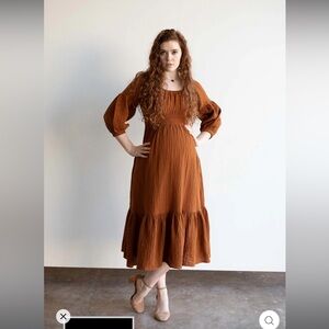 Cinnamon Eliza Maternity and Nursing Dress EUC